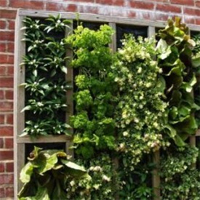 Landscape ideas Landscape ideas